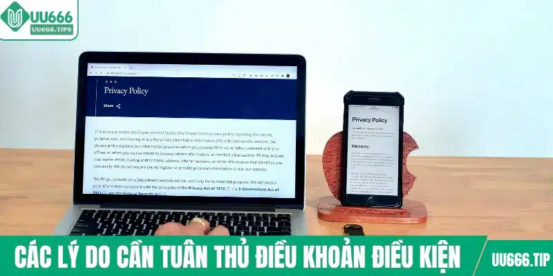 Các lý do cần tuân thủ điều khoản điều kiện