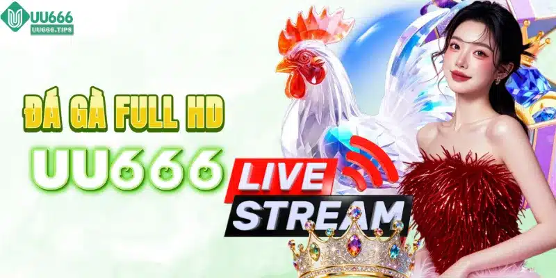 Đá gà trực tiếp sắc nét chuẩn HD tại UU666