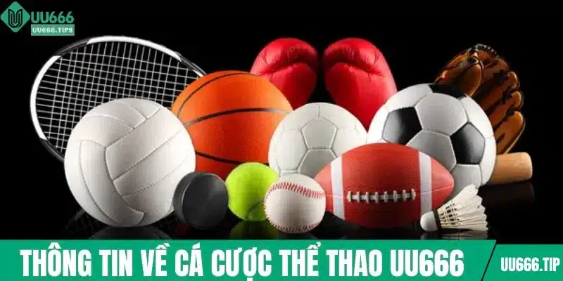 Thông tin về cá cược thể thao UU666